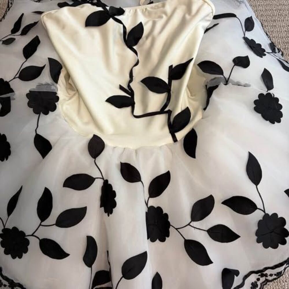 White Ballet Tutu with Black Floral Embroidery - Picture 3 of 8